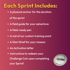 The Habit Kickstarter Sprint