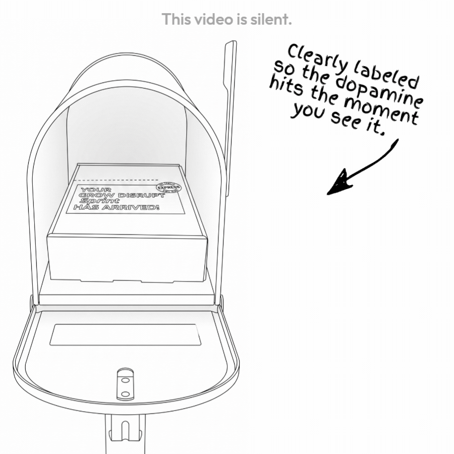 Illustration of the Grow Disrupt Sprint kit arriving in a mailbox, clearly labeled box for an instant dopamine hit when spotted